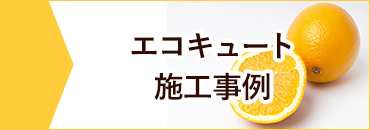 マンションP標準S設置型